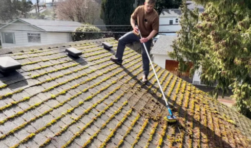 roof cleaning company in Nottinghamshire